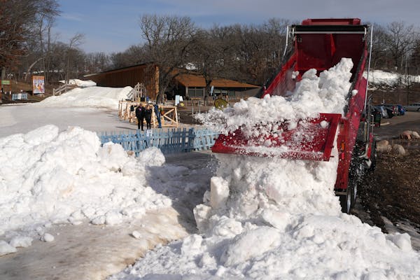 Truckloads of snow, transported from the Hyland Hills Ski Area in Bloomington, were dumped near The Trailhead at Theodore Wirth Park on Tuesday in Gol
