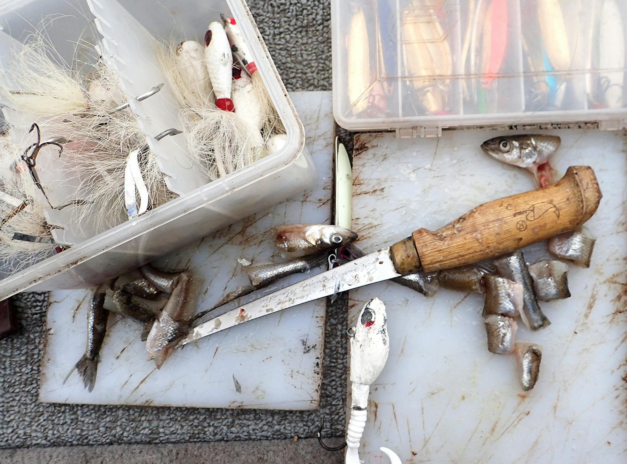 Two Harbors resident Tim Sonday frequently tips his lake trout baits with pieces of smelt. He's perfected an arsenal of heavyweight jigs for hooking Lake Superior's apex predator in water as deep as 200 feet. It's his favorite way to fish.