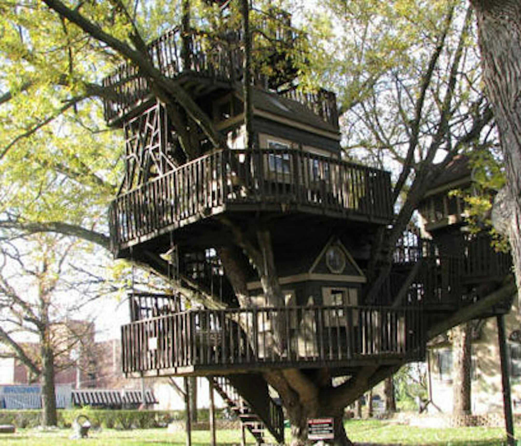 Photo by Mark Tucker courtesy of the St. Louis Park Historical Society Mark Tucker's treehouse on Minnetonka Boulevard in St. Louis Park is still standing, windstorm or no.