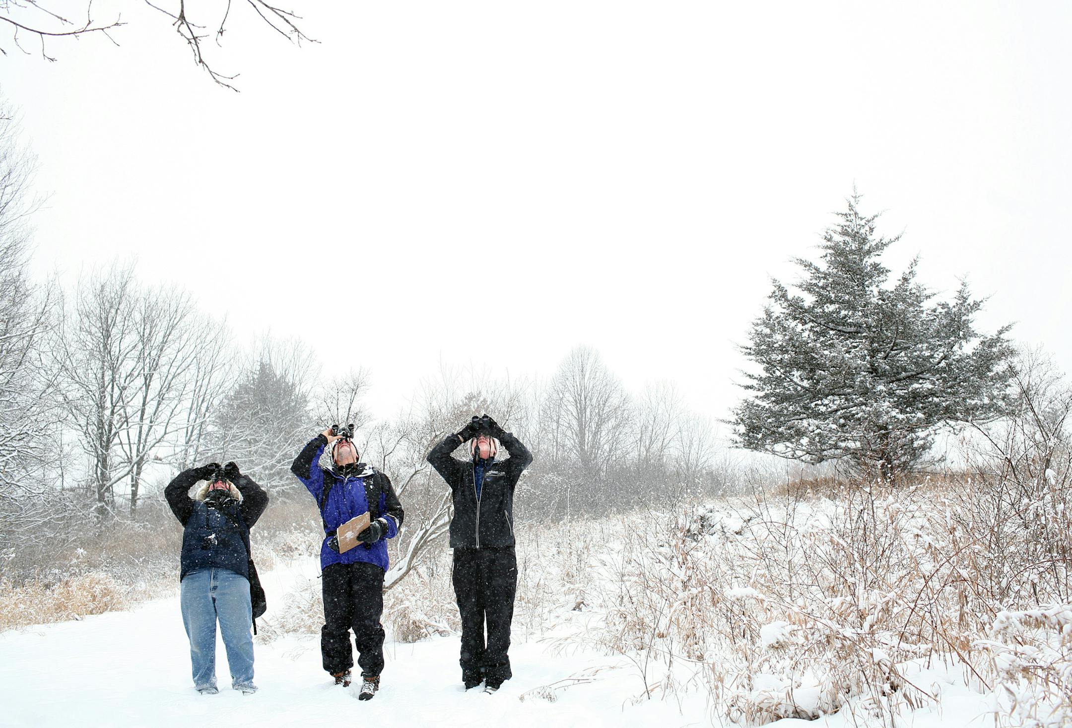 JENNIFER SIMONSON ï jsimonson@startribune.com Victoria, MN-Dec. 20, 2008 The National Audubon Society invites families to join in a Citizen Science program, the 109th bird census. The Christmas Bird Count - conducted nationwide between December 14 and January 5 - allows conservation researchers to track the long-term health of bird populations. Families can meet other local volunteers, hone birding skills, and take part in a seasonal tradition. IN THIS PHOTO:] Jeanne Jensen, of Minneapolis;