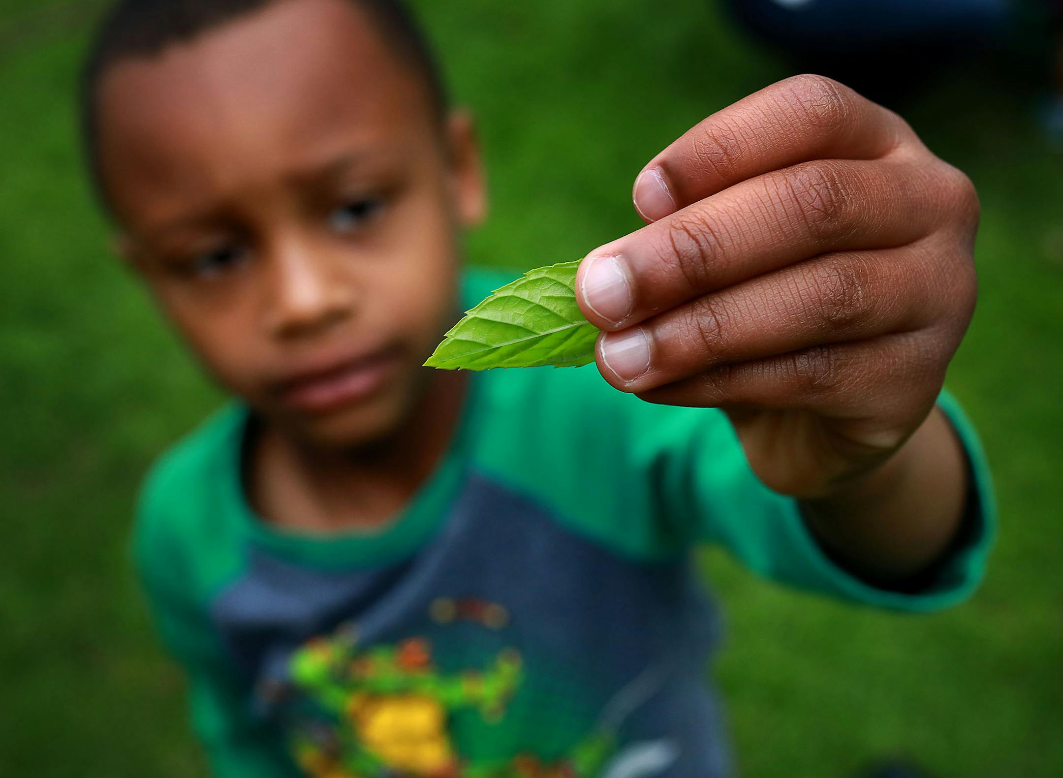 Jaden held up a mint leaf he had just picked.