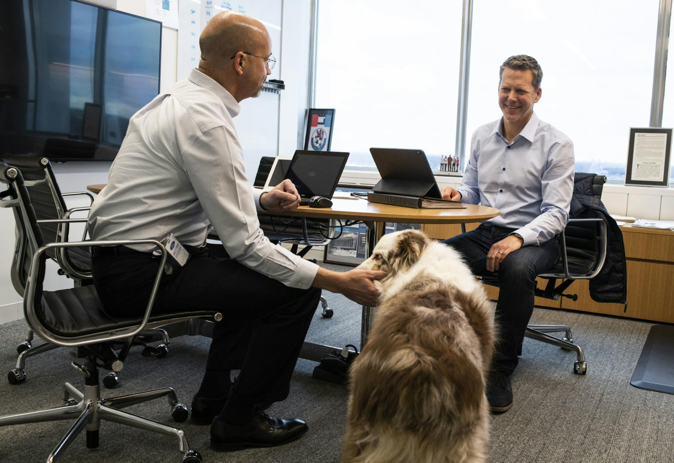 Finley, the dog of Tim Stone, the chief finance officer of Ford Motor Co., is pet by a colleague during a meeting in Dearborn, Mich., on Dec. 5, 2019. MUST CREDIT: Bloomberg photo by Brittany Greeson.