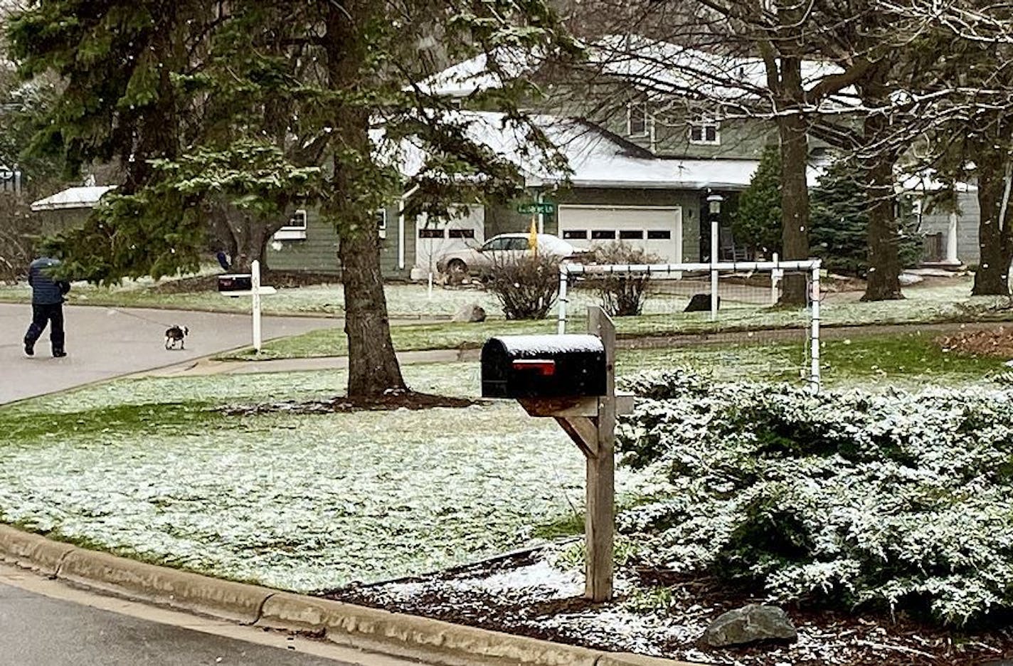 Spring snow or no, dogs in Edina and elsewhere in the Twin Cities still need a good walk.