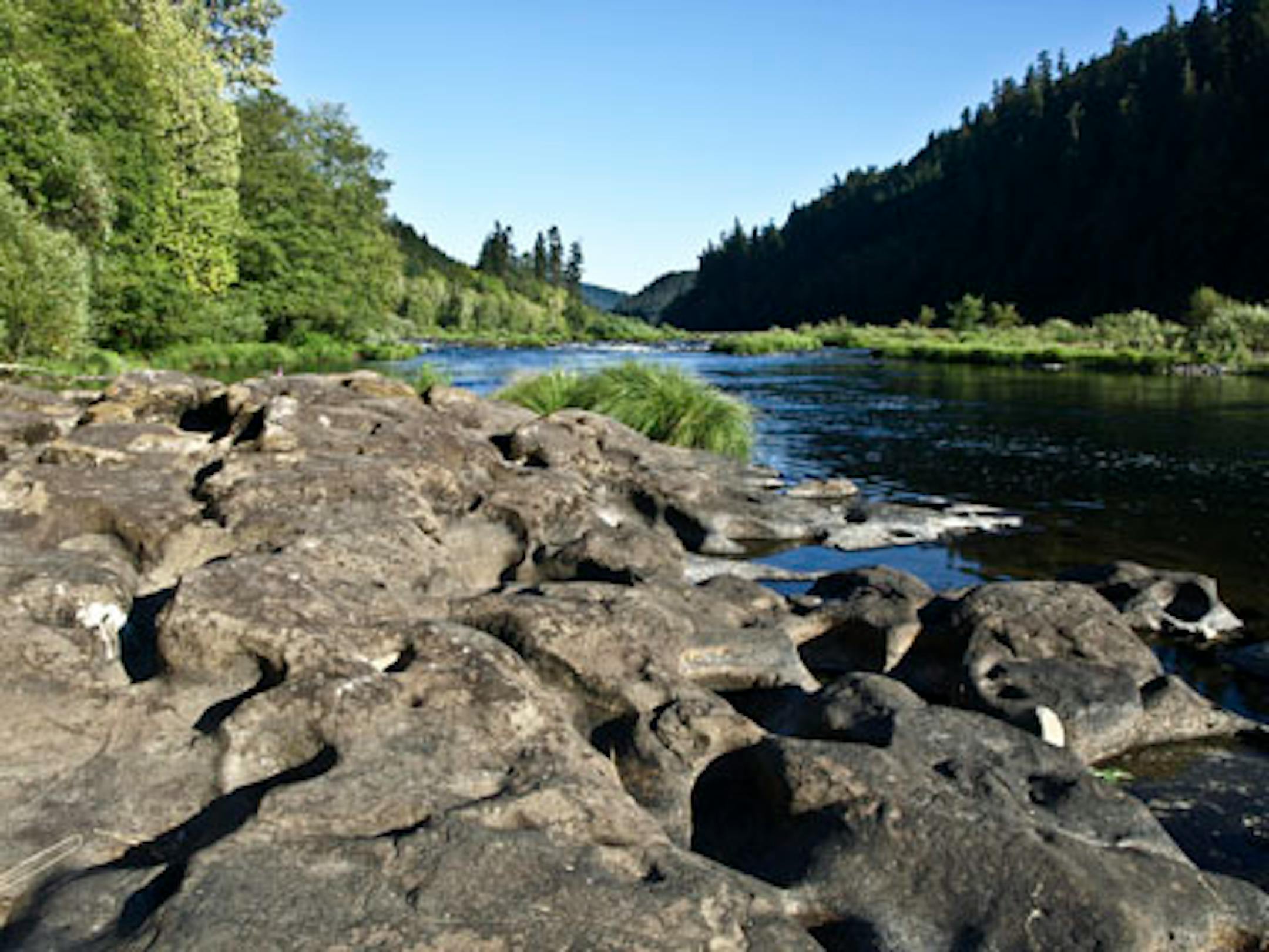 Oregon has plenty of beautiful rivers full of fish just waiting to be caught!