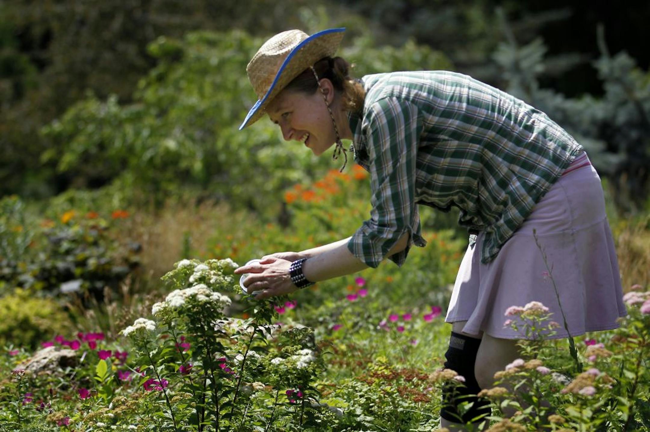 University of Minnesota Entomologist Elaine Evans is studying biodiversity of native bees and volunteers with the Great Sunflower Project, which is sponsoring a national count Saturday.