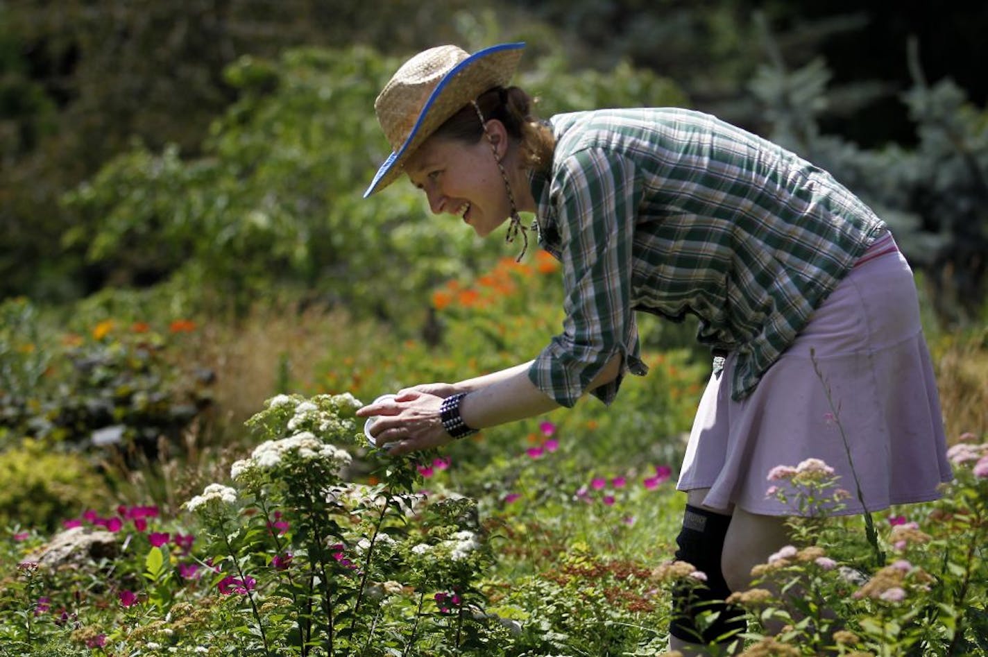 University of Minnesota Entomologist Elaine Evans is studying biodiversity of native bees and volunteers with the Great Sunflower Project, which is sponsoring a national count Saturday.