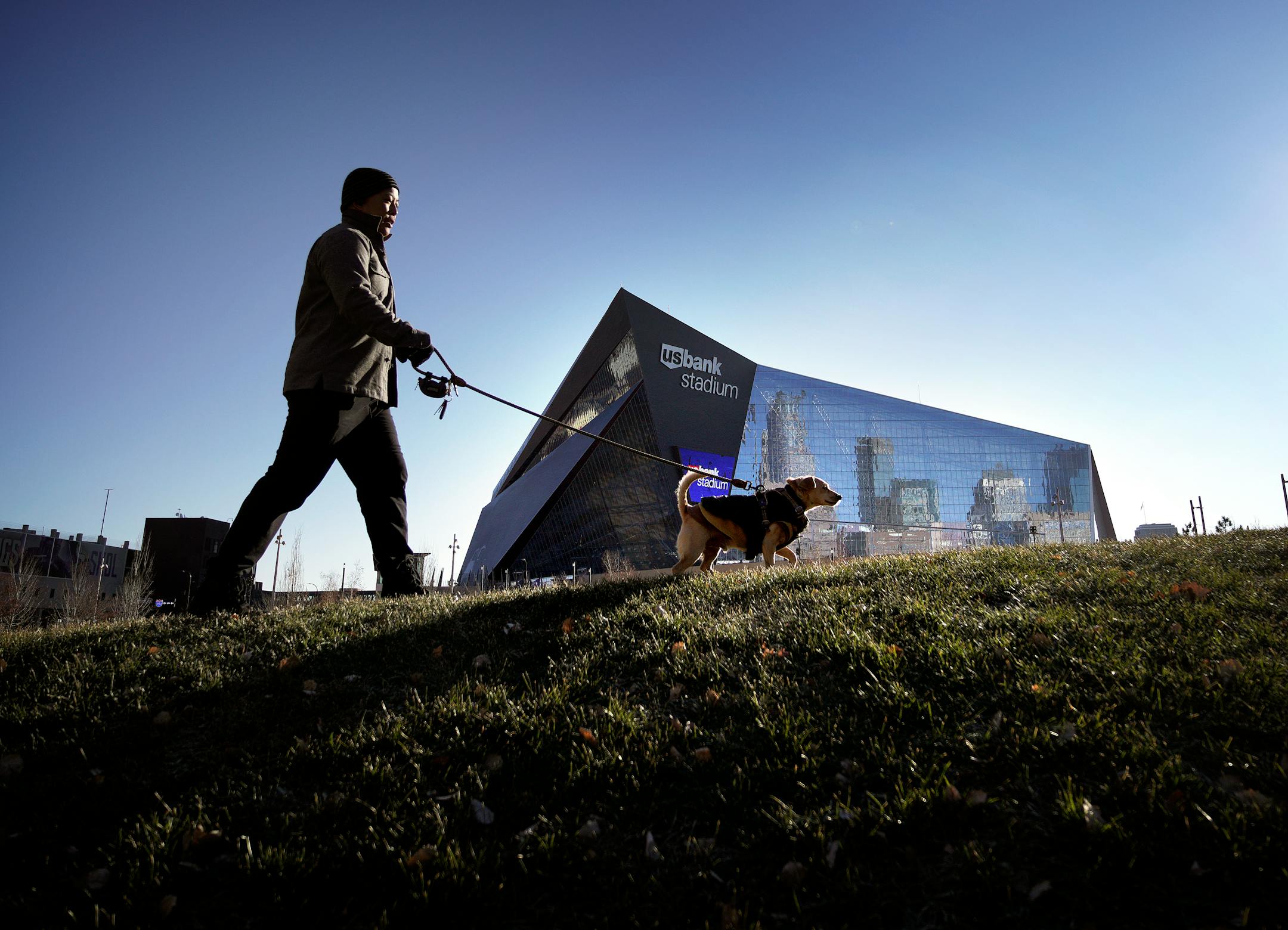 Sunday the Minnesota Vikings played their final home game of the 2020 season stamped forever by the astonishing emptiness of U.S. Bank Stadium. Here, the commons green space outside U.S. Bank Stadium, normally congested with fans, was quiet on the last Vikings game-day of the 2020 season Sunday morning. Kale Fajardo and dog Ketut took advantage of the morning sunshine for a walk in the park.