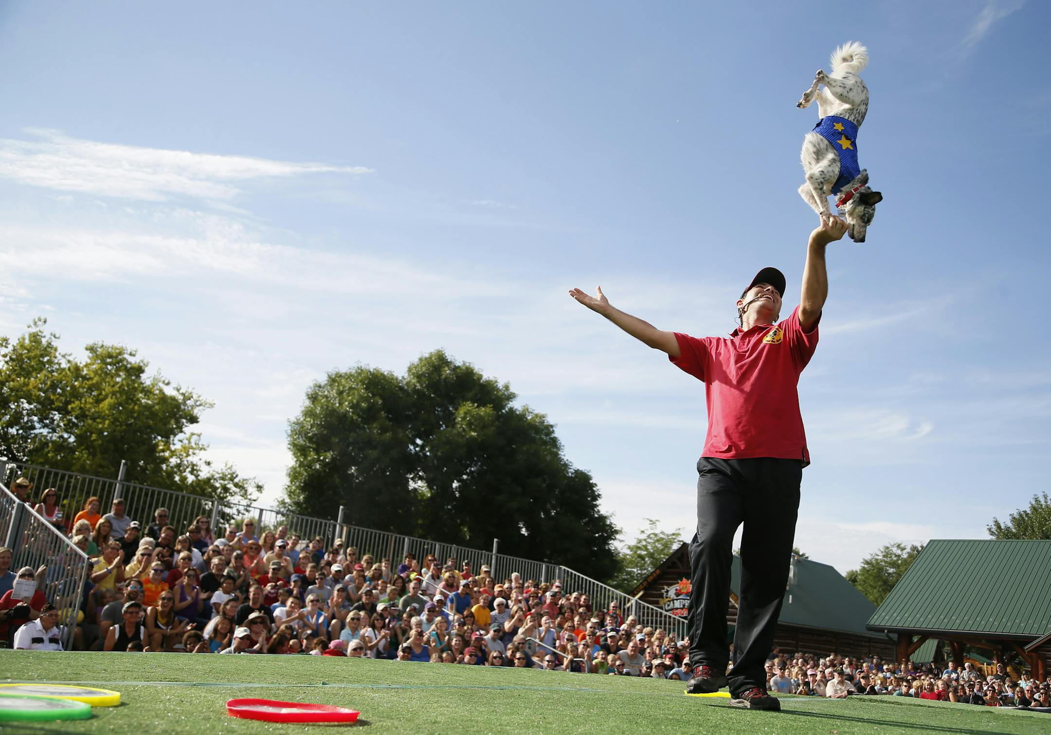 Chris Perondi and his mixed breed dog "Crazy Confetti" performed for the audience at the State Fair Tuesday August 26 , 2014 in Falcon Heights ,MN . All of the the dogs in the "Extreme Canines Stunt Dog show" are rescue doges , saved from pounds .] Jerry Holt Jerry.holt@startribune.com