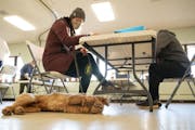 Casey Scrignoli filled out her ballot while her dog, Chester, played on the floor at First United Methodist Church in Duluth on Tuesday morning.