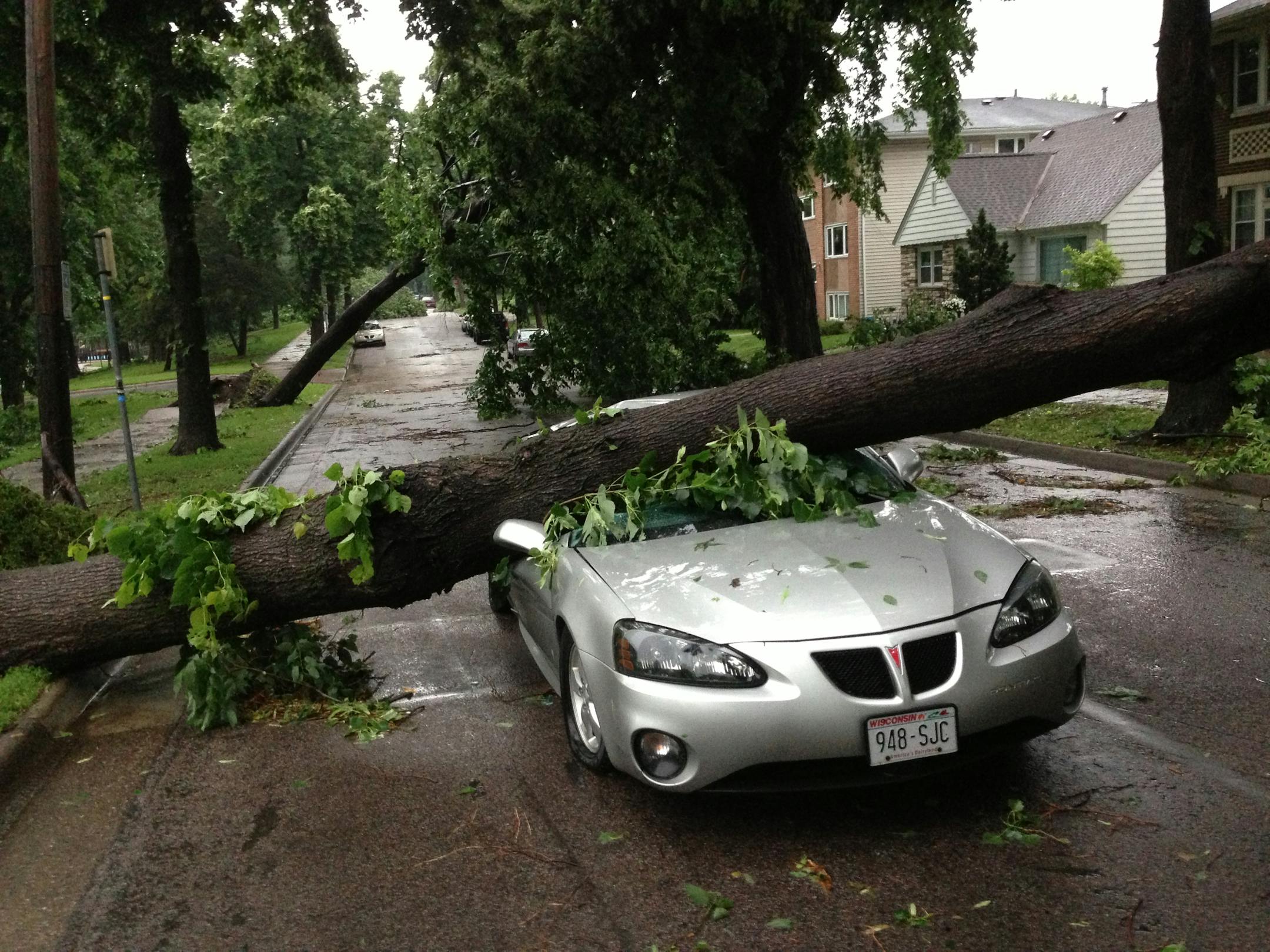 Cleanup had yet to begin Saturday on S. 15th Ave. near 35th St. in Minneapolis where a car was flattened by a downed tree during Friday evening's storm.