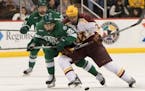 Perfect showing: All 5 Minnesota men's hockey teams ranked in latest poll