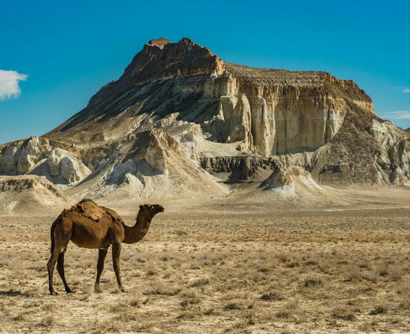 The Ayrakty-Shomanay Moutains of Kazakhstan. Credit: Kazakh Tourism