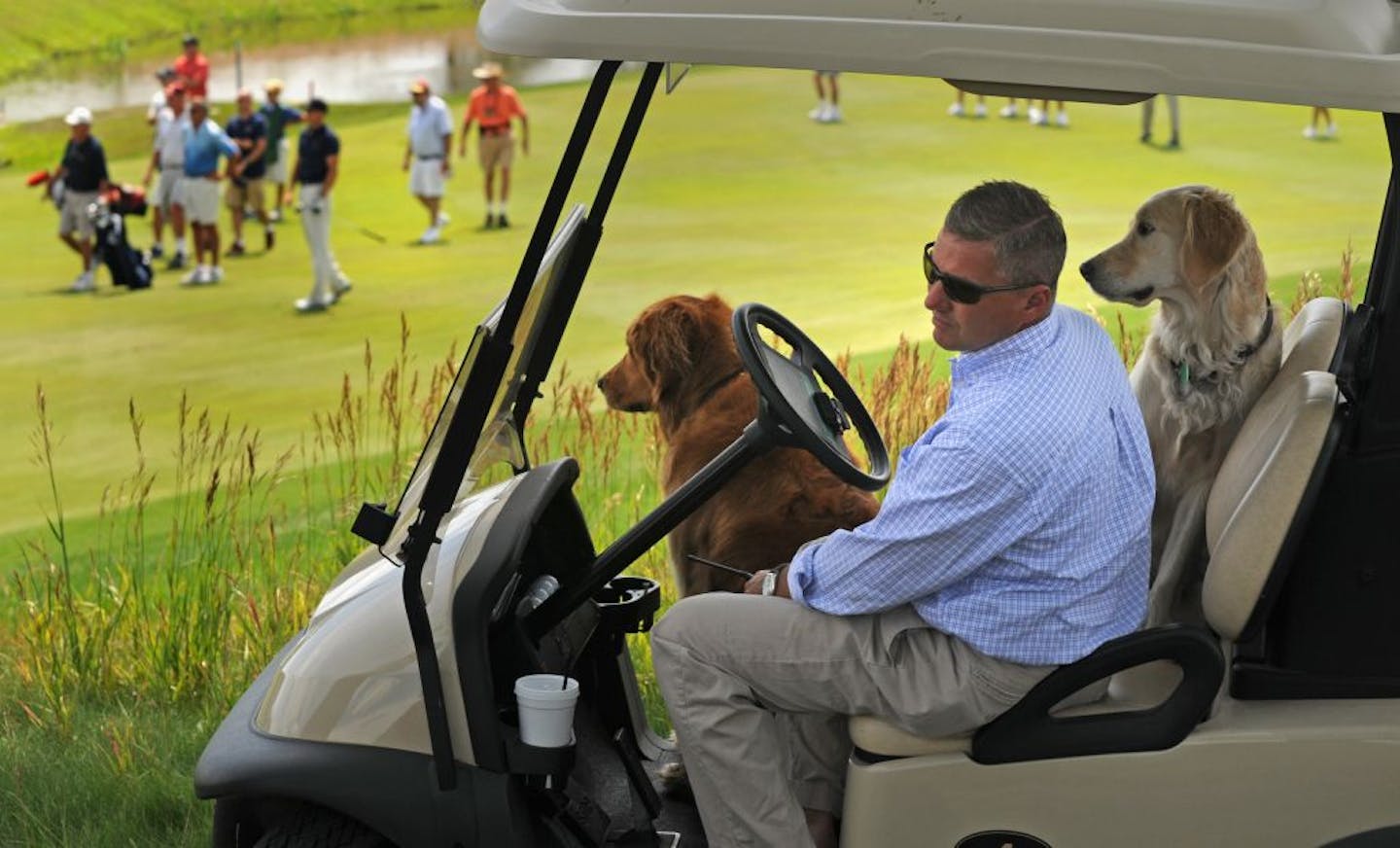 Minnesota State Amateur Golf Championship Windsong Farm Golf Course Superintendent Scottie Hines keeps a watches the final pairing with l to r Sadie and Sam the official course golden retrievers