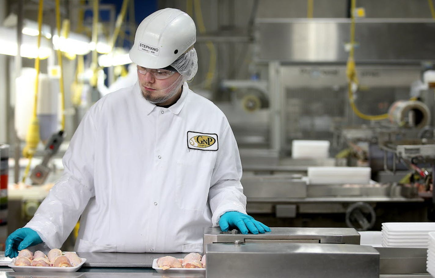 Production at the Gold'n Plump Poultry production facility, Tuesday, April 20, 2016 in Cold Spring, MN. ] (ELIZABETH FLORES/STAR TRIBUNE) ELIZABETH FLORES &#x2022; eflores@startribune.com