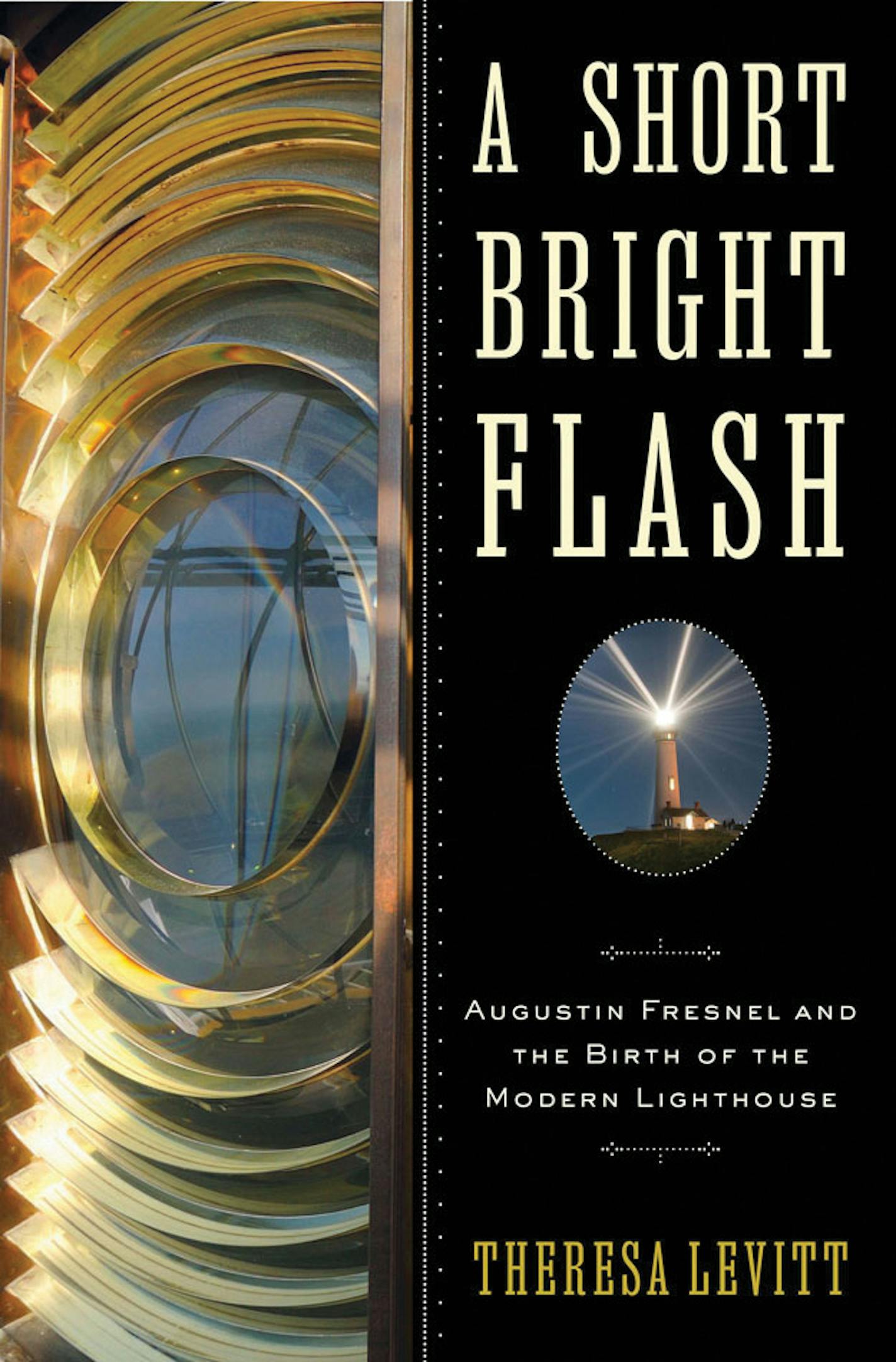 "A Short Bright Flash," by Theresa Levitt