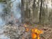 The Forest Service said a "spot fire" began in a controlled burn area northwest of Isabella, Minn. The fire is completely uncontained as of Thursday a