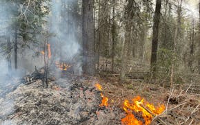 The Forest Service said a "spot fire" began in a controlled burn area northwest of Isabella, Minn. The fire is 75% contained Thursday afternoon.