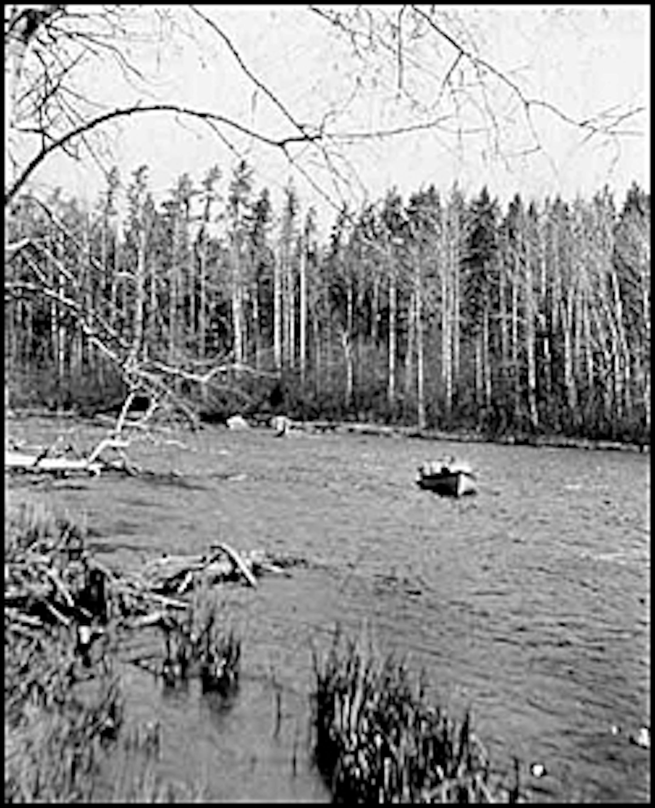Mississippi River below Bemidji Lake, ca 1910