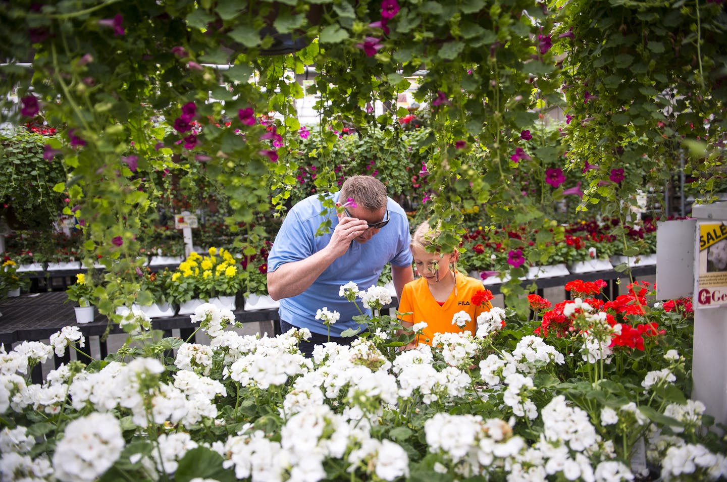 Kurt Goossen left, and his daughter Brooke, 10, looked at different colored flowers as Kurt tried on his new EnChroma color blindness corrective glasses Friday afternoon. ] (AARON LAVINSKY/STAR TRIBUNE) aaron.lavinsky@startribune.com Two color blind St. Paul men were able to see new colors for the first time in Gertens greenhouse in Inver Grove Heights thanks to special glasses developed by Berkeley-based "EnChroma", which enable the color blind to better see colors. Red-green color blindness af