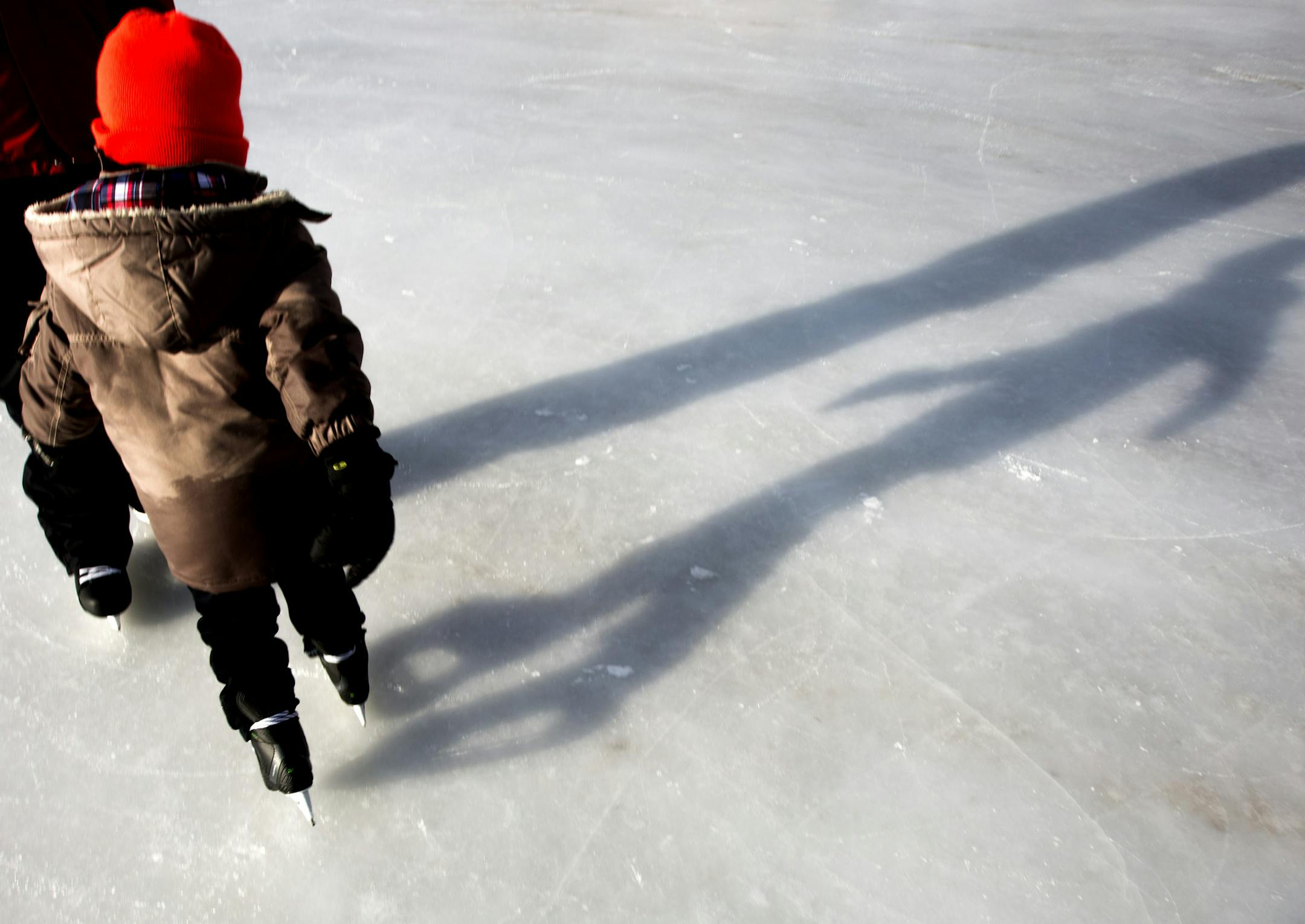 Shadow shots for groundhog day feature.