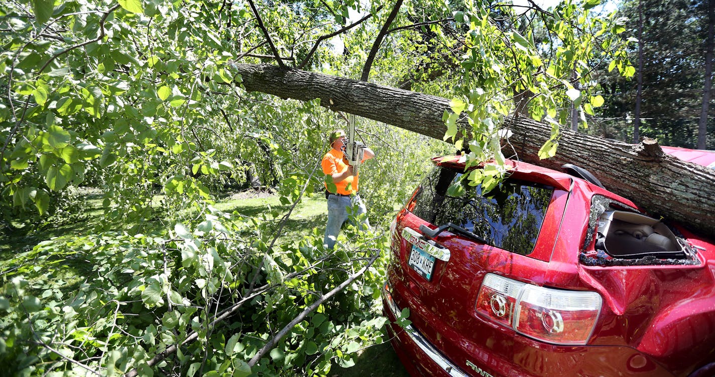 Ricky Kirschbaum used a chainsaw to cut a tree that fell on Ray Bonestroo's SUV during the clean up at his mom's cabin on July 13, 2015 in Brainerd, Minn.