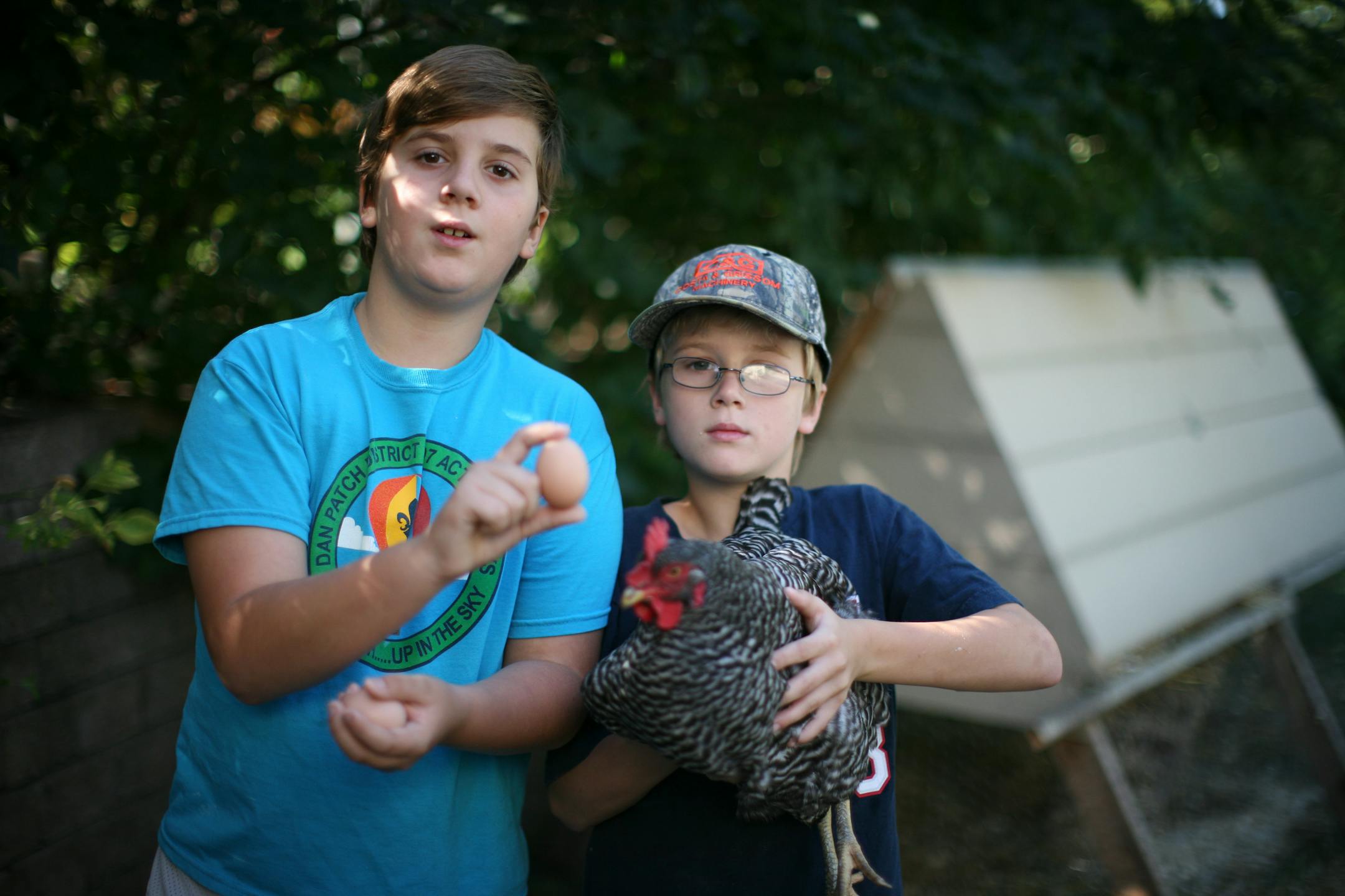 Stefan Remund and his brother, Wesley, showed off eggs and Rachel, one of their pet chickens. The family researched the kind of chickens to buy to raise in a homemade back-yard coop. "We wanted one that was quiet and laid good eggs and wasn't stinky," Stefan said.