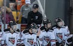 Duluth East coach Mike Randolph, behind the bench during the Class 2A, Section 7 championship Grand Rapids vs. Duluth East 3/2/17