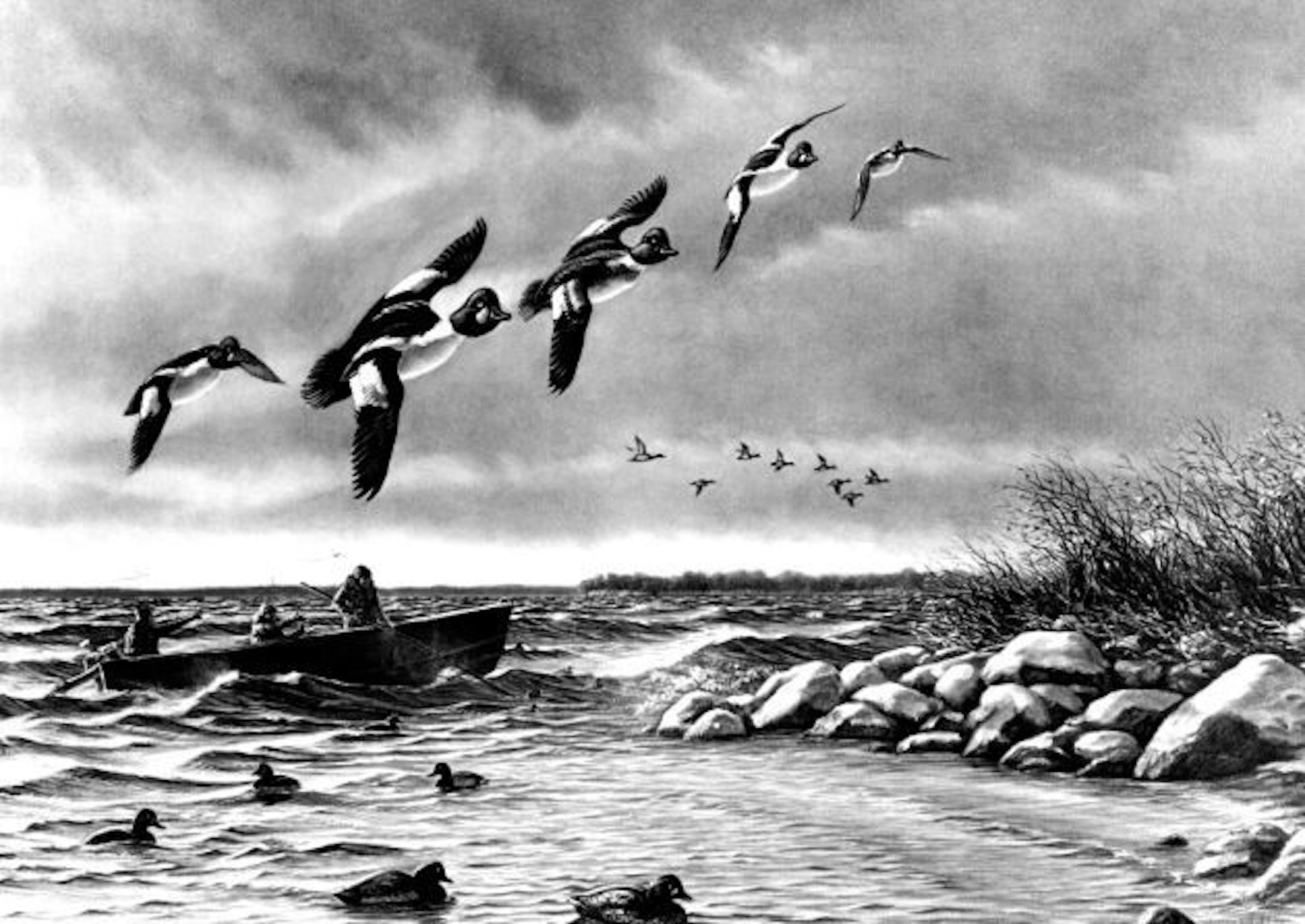 December 23, 1984 Jim Meger's waterfowl painting entitled 'Risky Business.'