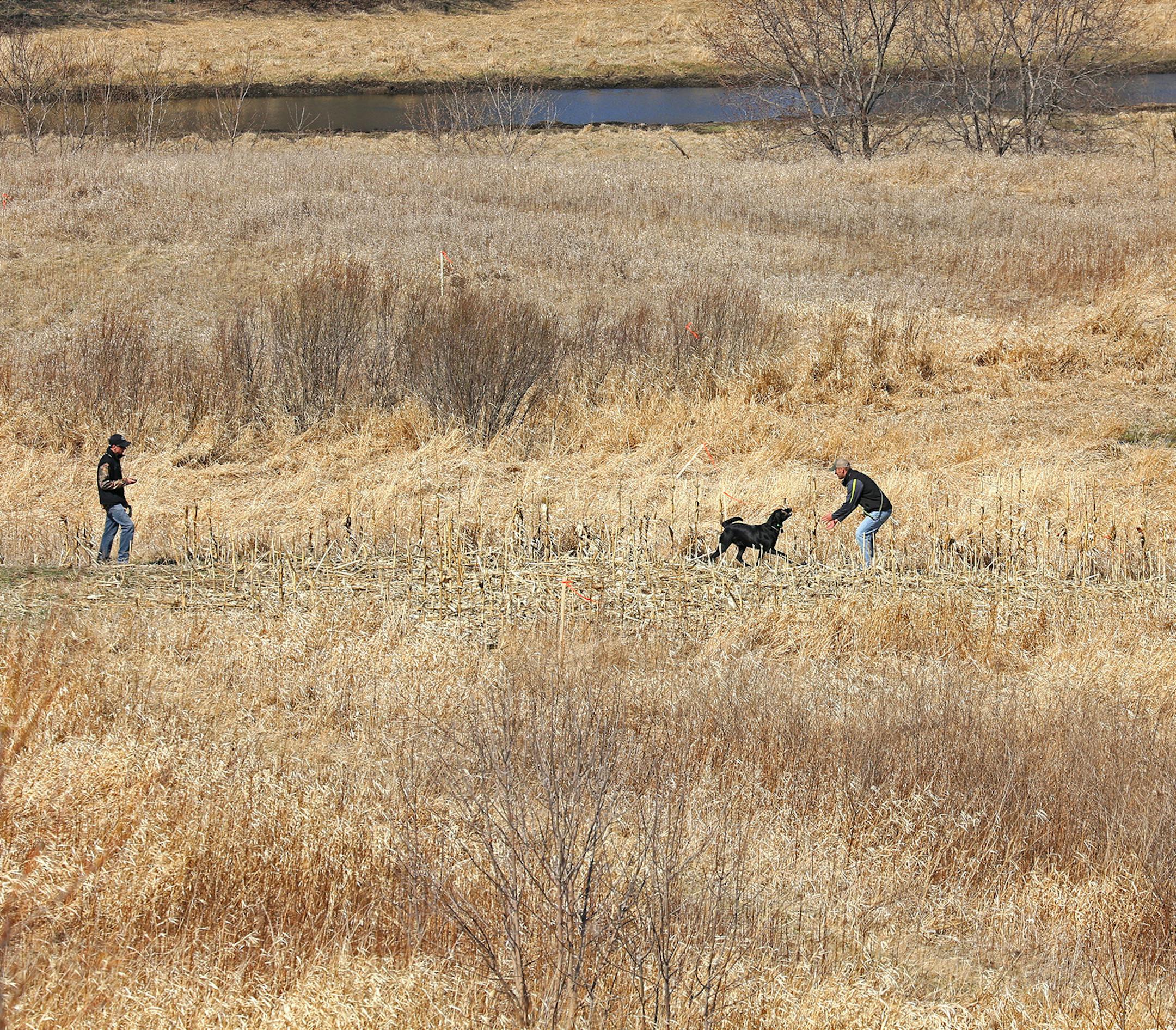 Eddie Odendahl, right, receives an antler that his dog, Huntley, a 4-year-old black male Labrador, found while competing near Northfield, Minn., in the North American Shed Hunting Dog Association World Championship.