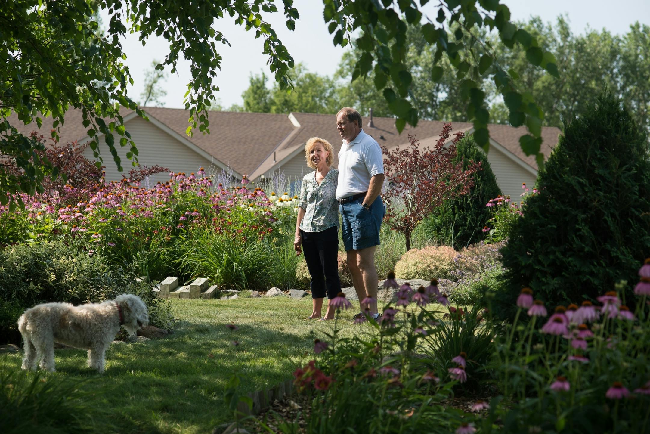 Dan and Nancy Engebretson, with their dog Aubrey, stand in the common area that they garden next to their home in Elysian, Minnesota on July 31, 2014. Their neighbors' homes can be seen in the background. [ Angela Jimenez/Special to the Star-Tribune angelajime@gmail.com Assignment #20035606A_ SLUG: ENGEBRETSON100114_ EXTRA INFORMATION: Since 2006, the Engebretsons have designed and tended to their own garden, and have transformed the common space near their home into a landscaped, shared garden