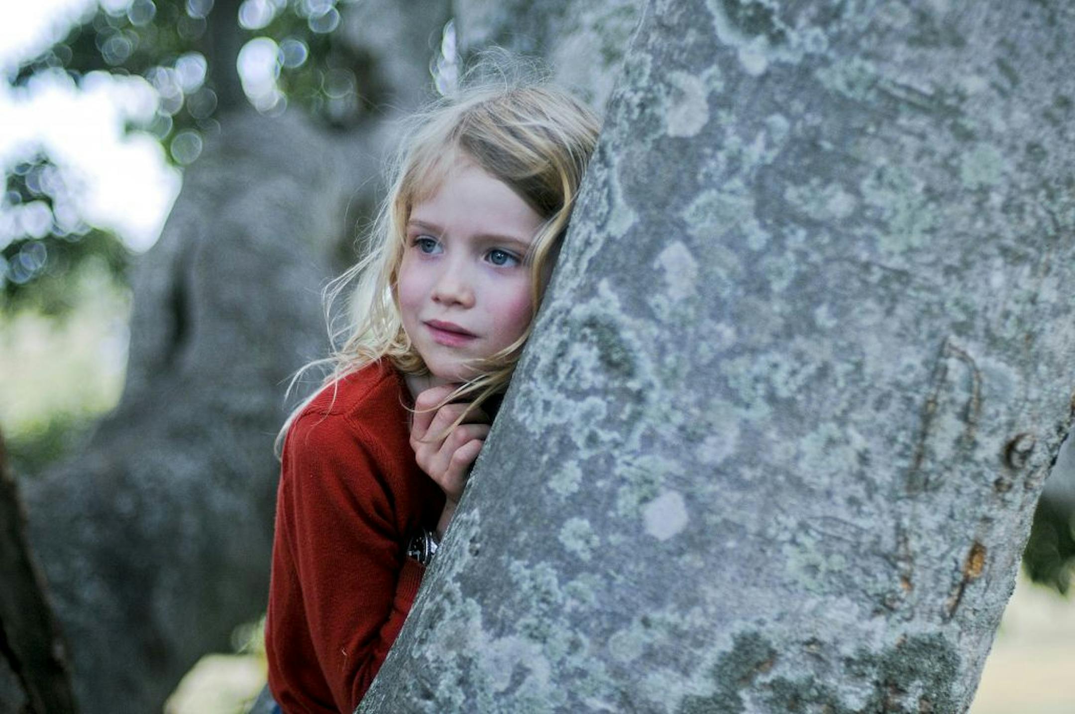 Morgana Davies in "The Tree."