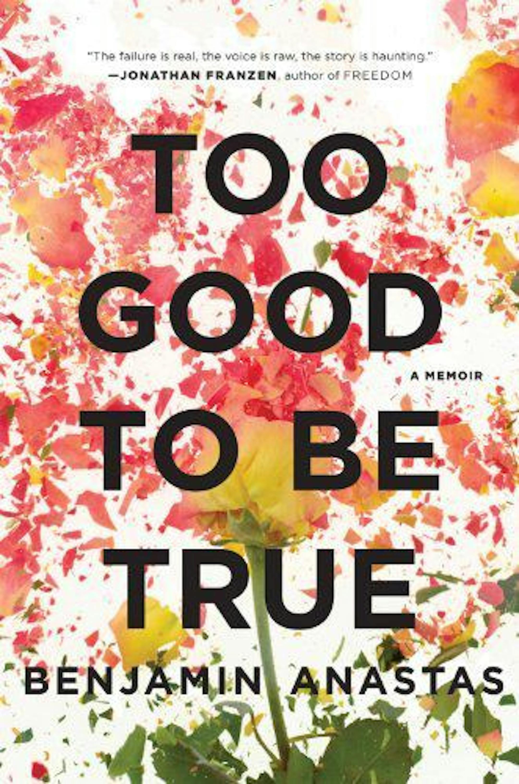 TOO GOOD TO BE TRUE by Benjamin Anastas