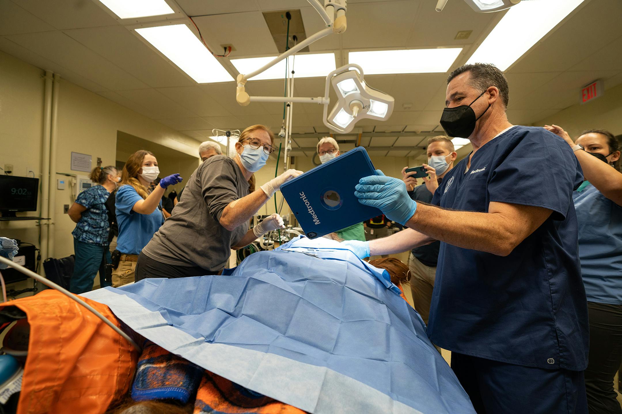 Dr. Ilana Kutinsky, a human cardiologist who helps with the Great Ape Heart Project, checks data from a Medtronic monitor implanted in Sulango, an orangutan who lives at the Columbus (Ohio) Zoo and Aquarium. At right is Tim Laske, a Medtronic vice president who leads the wildlife projects.