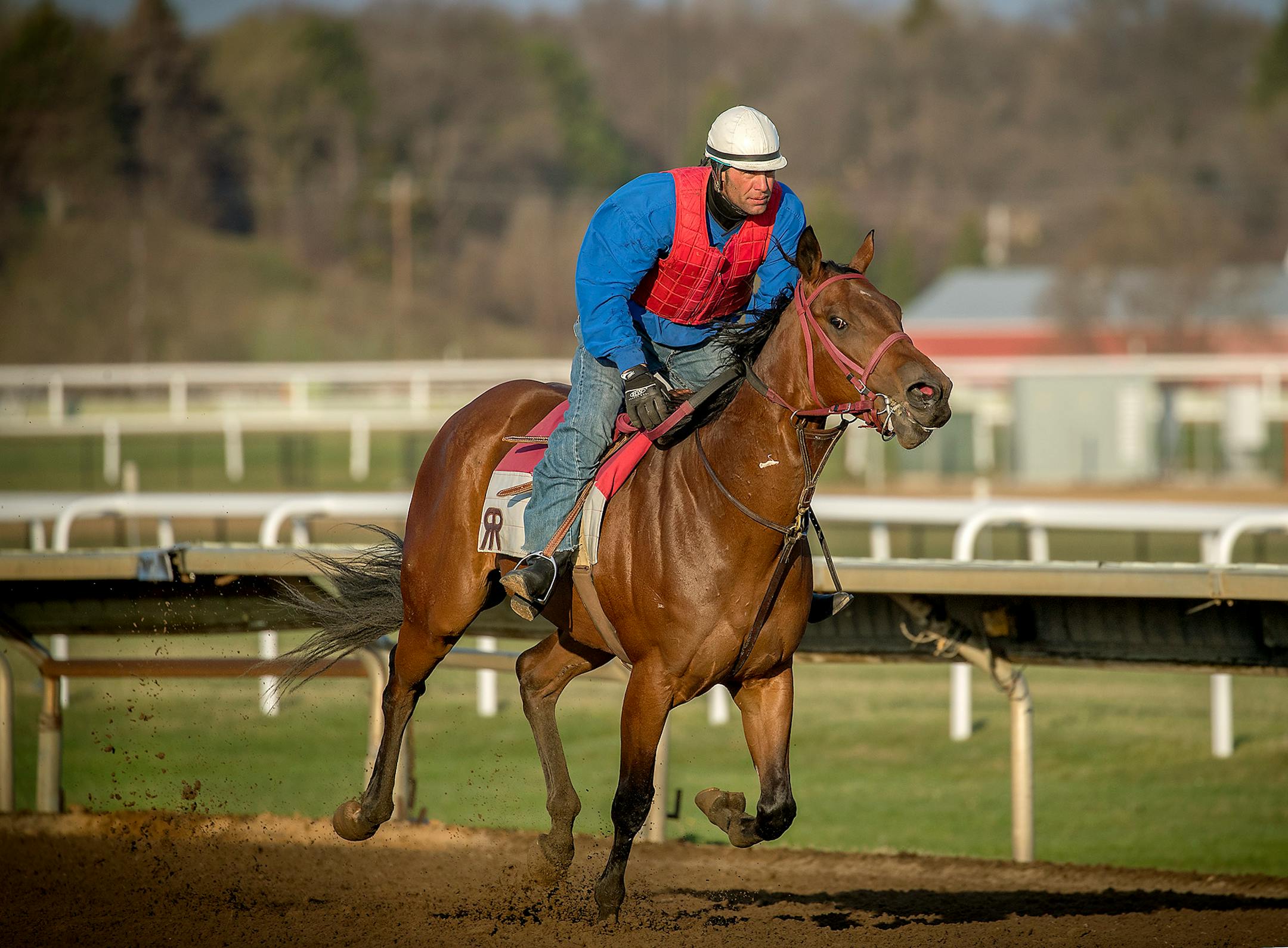 Trainers and horses just recently were able to get on their usual spring training tracks at Canterbury Park in Shakopee.