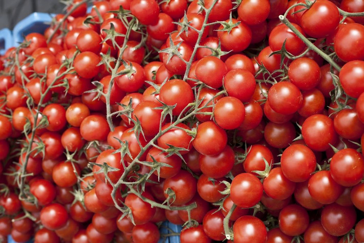 Cherry tomatoes