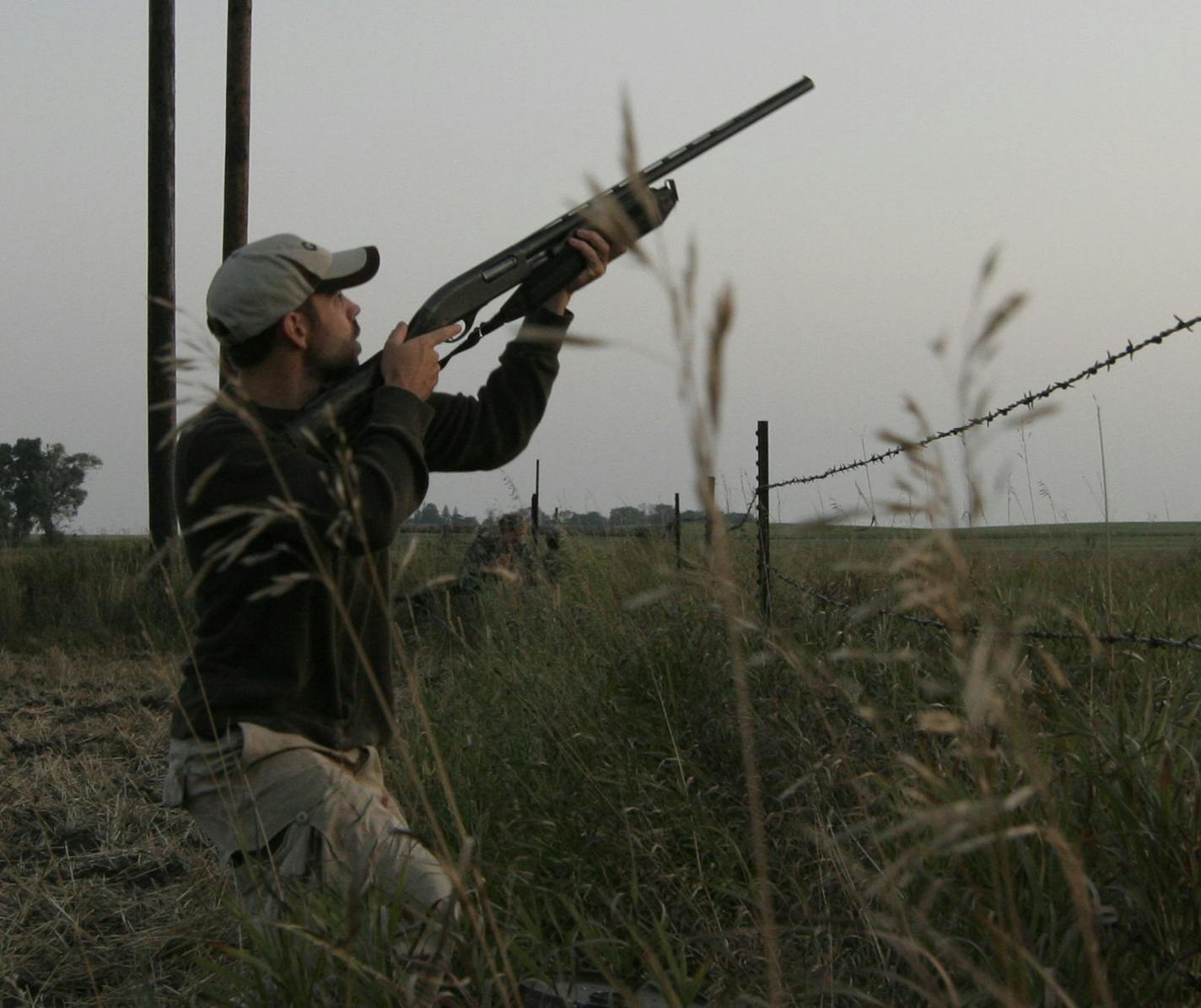 Adam Kalahar, 26, of Minneapolis readies to shoot at a mourning dove at dawn on the Minnesota's dove opener. His group found good hunting.