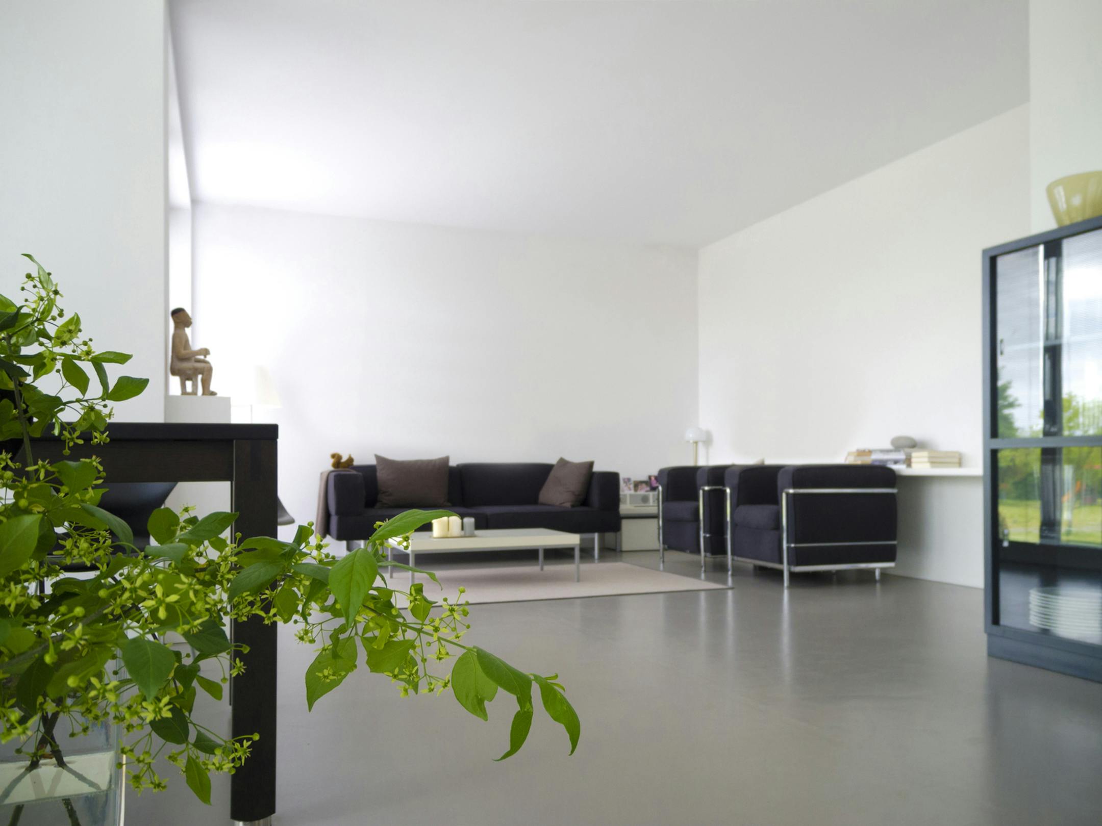 Donít bother splurging on indoor plants, says interior designer Katherine Carter. (Dreamstime) ORG XMIT: 1212224