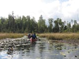 This Sept. 16, 2017 photo shows two canoes along a lily pad-lined bog in Minnesota's Boundary Waters Canoe Area Wilderness. The area protects more tha