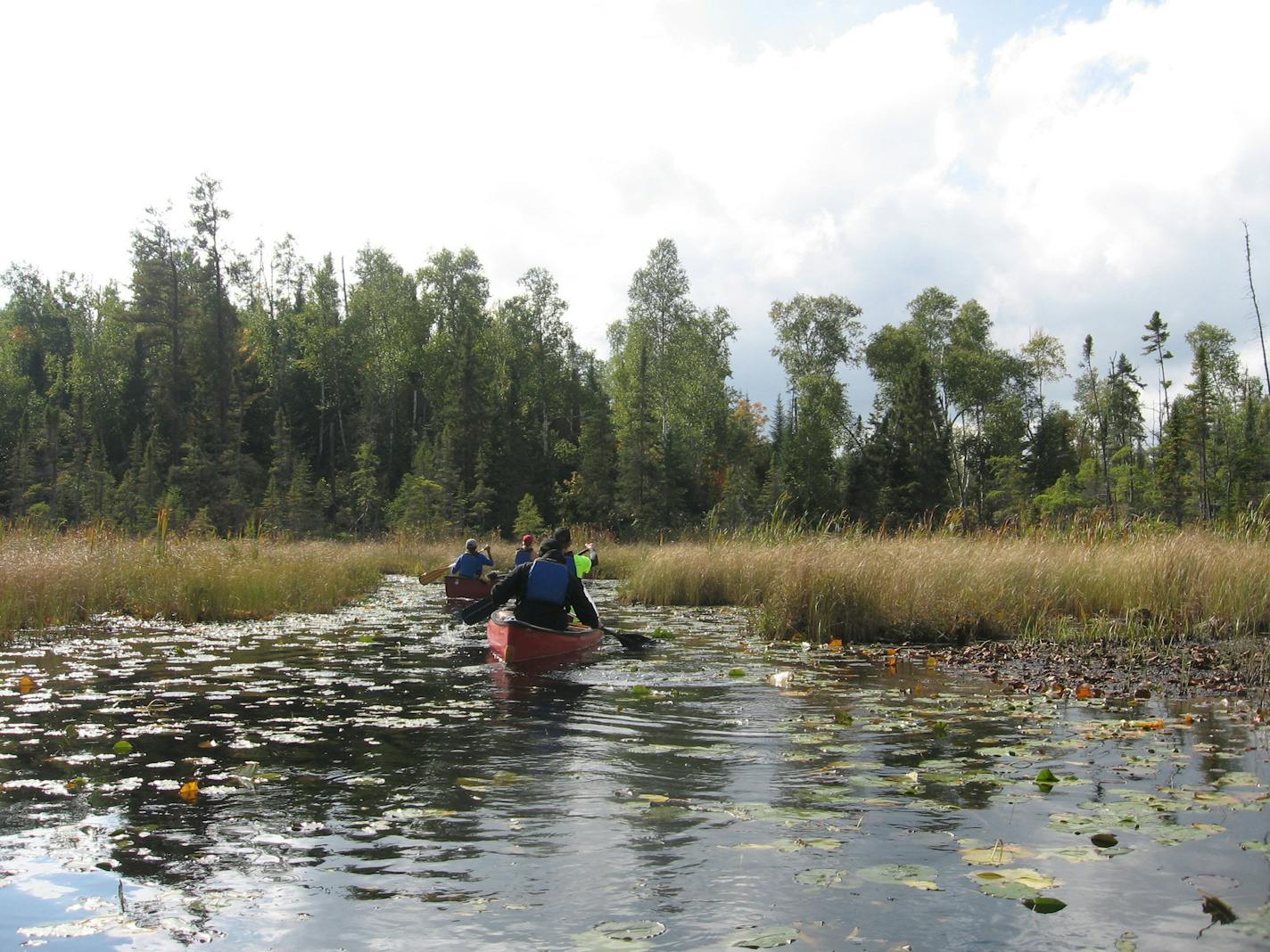 This Sept. 16, 2017 photo shows two canoes along a lily pad-lined bog in Minnesota's Boundary Waters Canoe Area Wilderness. The area protects more than 1,200 miles of canoe trails over lakes and rivers fringed by pine forests. (Giovanna Dell'Orto via AP)