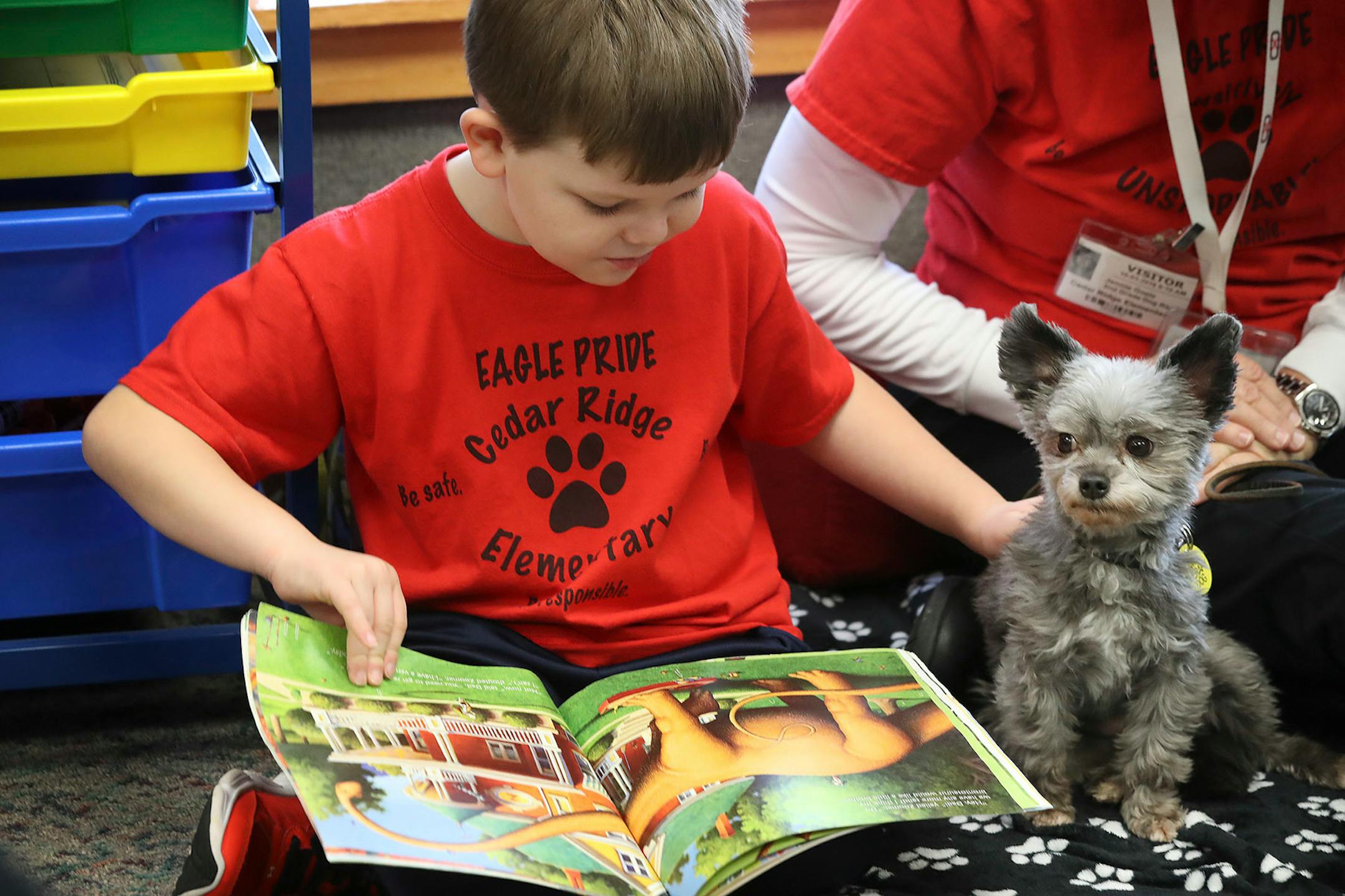 Luke Breese 7, read to Taz a therapy dog, and his owner Jennie Goelz at Cedar Ridge Elementary School Monday October 30,2017 in Eden Prairie, MN.