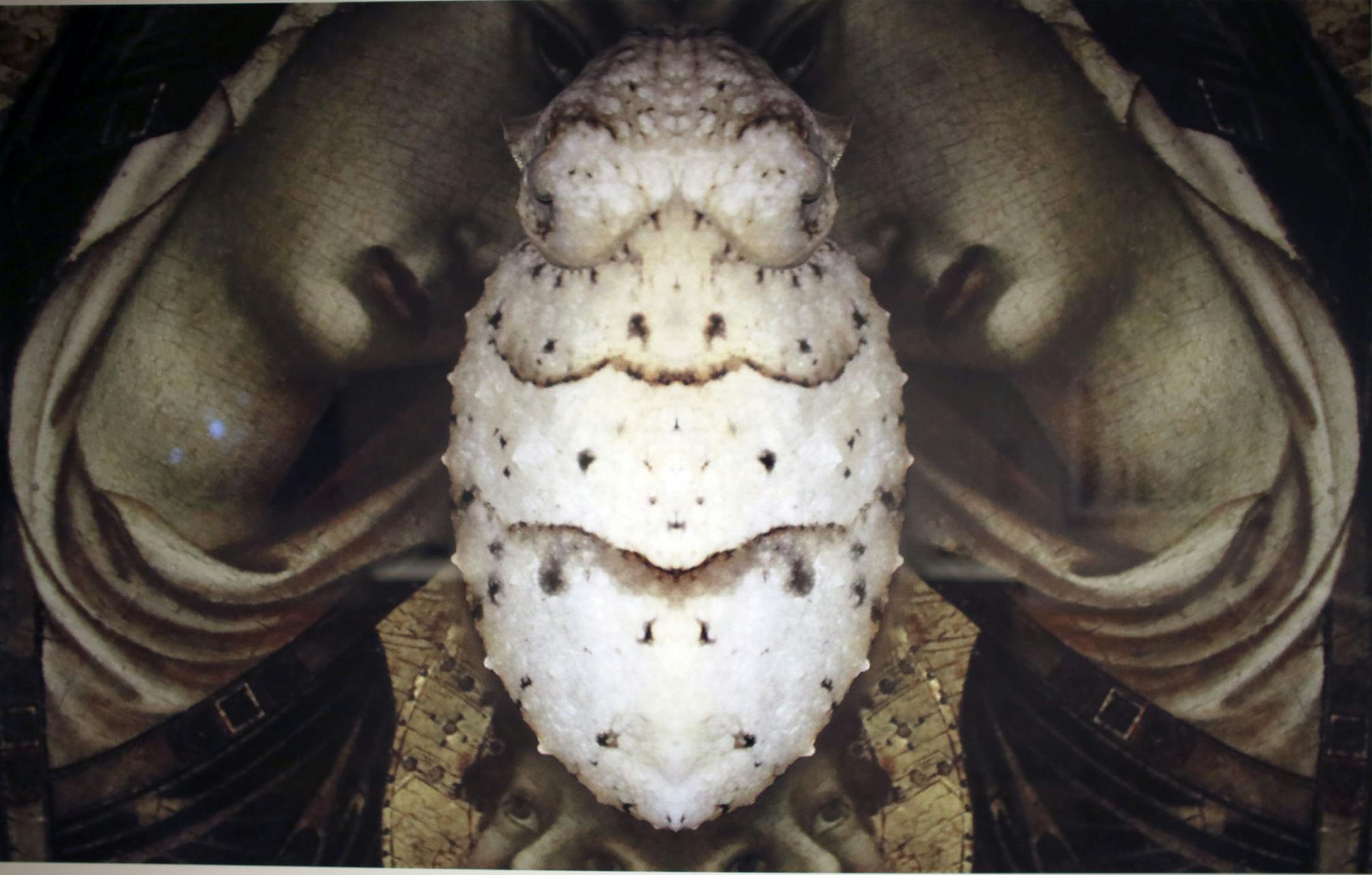 Amburghese di cuore (no 1) by Ryuta Nakajima at the Minneapolis Institute of Arts in Minneapolis, Min., Friday, August 23, 2013. ] (KYNDELL HARKNESS/STAR TRIBUNE) kyndell.harkness@startribune.com