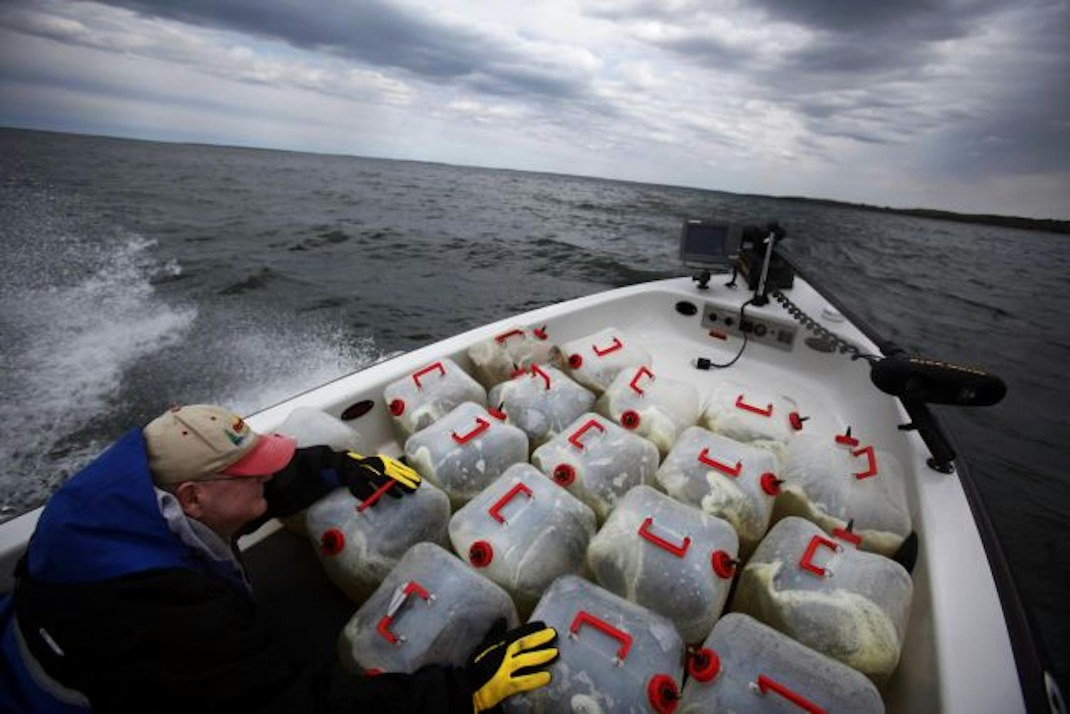 Larry Anderson helped transport walleye fry across Leech Lake. There is extensive cooperation to keep the lake productive.