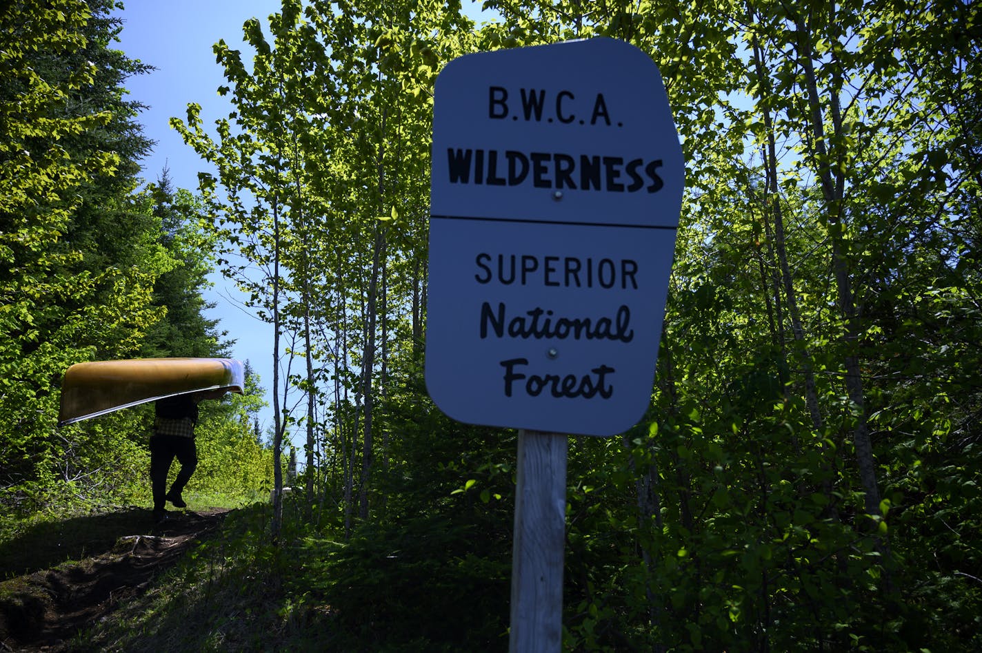 More people are heading into the Boundary Waters this summer as developed campgrounds fill up or remain closed and the pandemic diverts more summer vacations into the woods, one area official said.