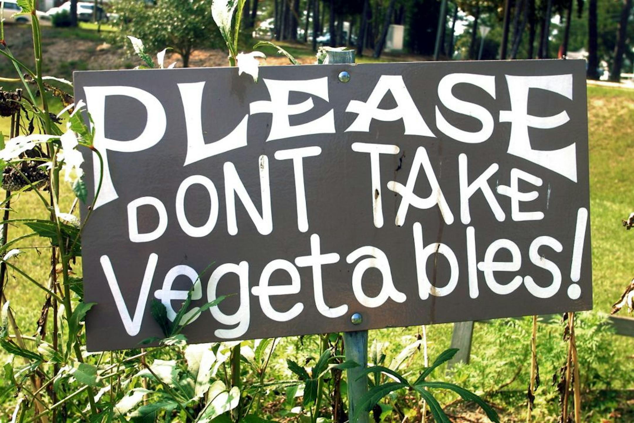 A signs warns passersby not to steal vegetables from a small community garden.
