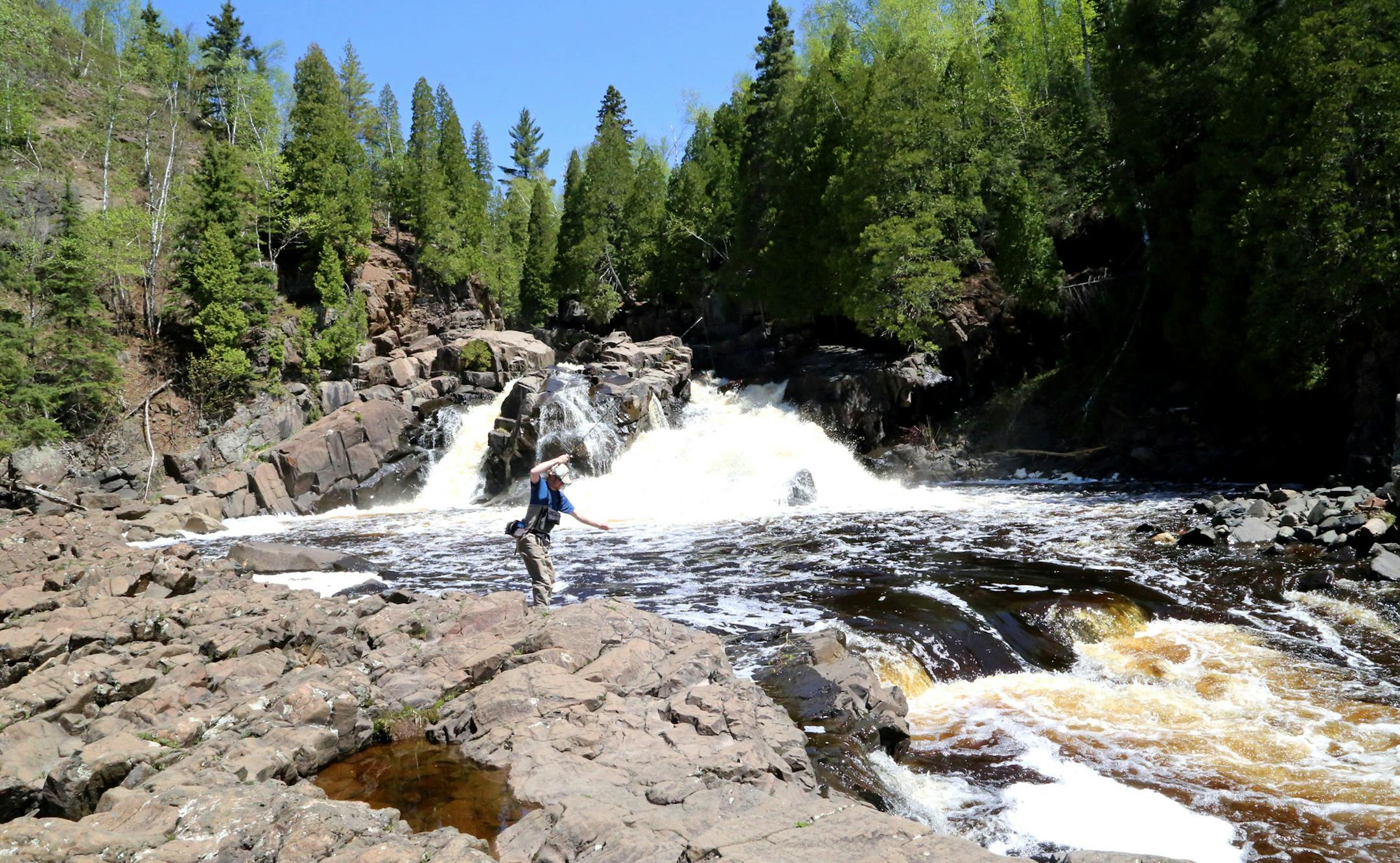 Spring arrived late on the North Shore, but nonetheless was in full bloom on Wednesday, as streams were warming quickly, and dropping, pushing steelhead back into Lake Superior after entering the rivers perhaps weeks ago to spawn.