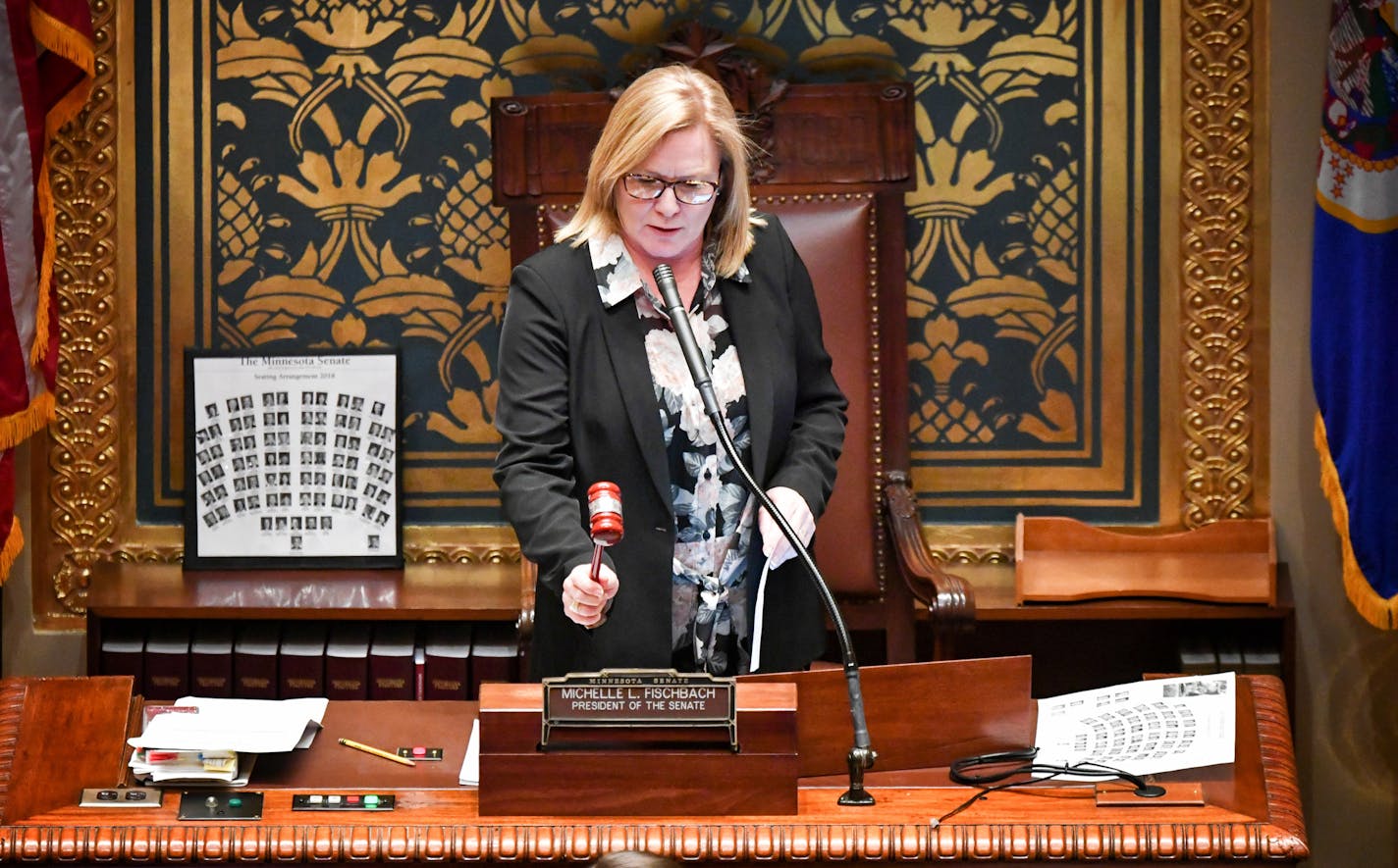 Lt. Gov. Michelle Fischbach gaveled the Senate into session in February.