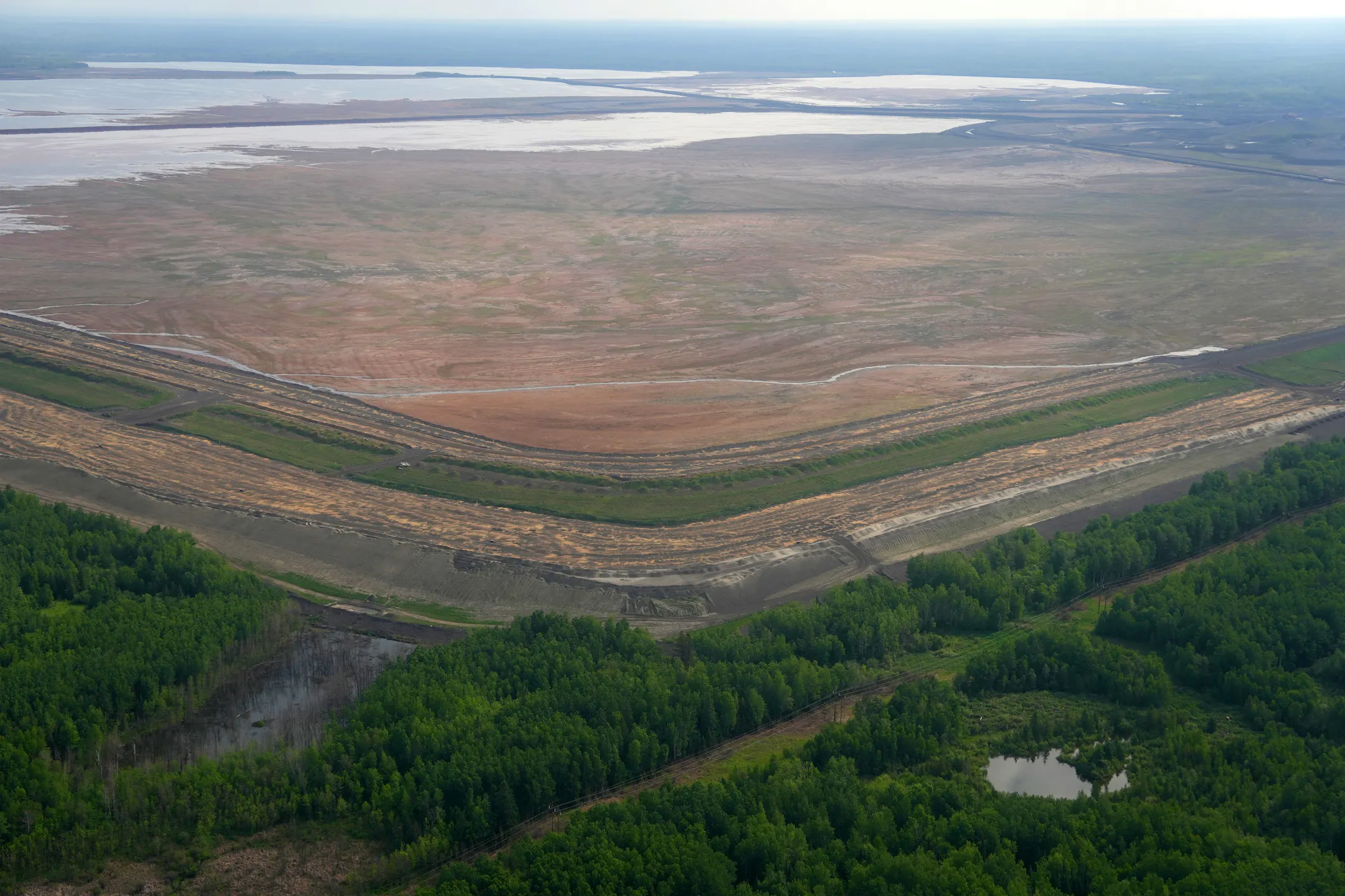 Wild Rice Pollution To protect wild rice, Minnesota moves to cut off pollution from ...