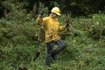 Becca Hanson and members of the Conservation Corps planted around 100 tamarack trees near Hwy. 61 and Warner Road on Wednesday in St. Paul.