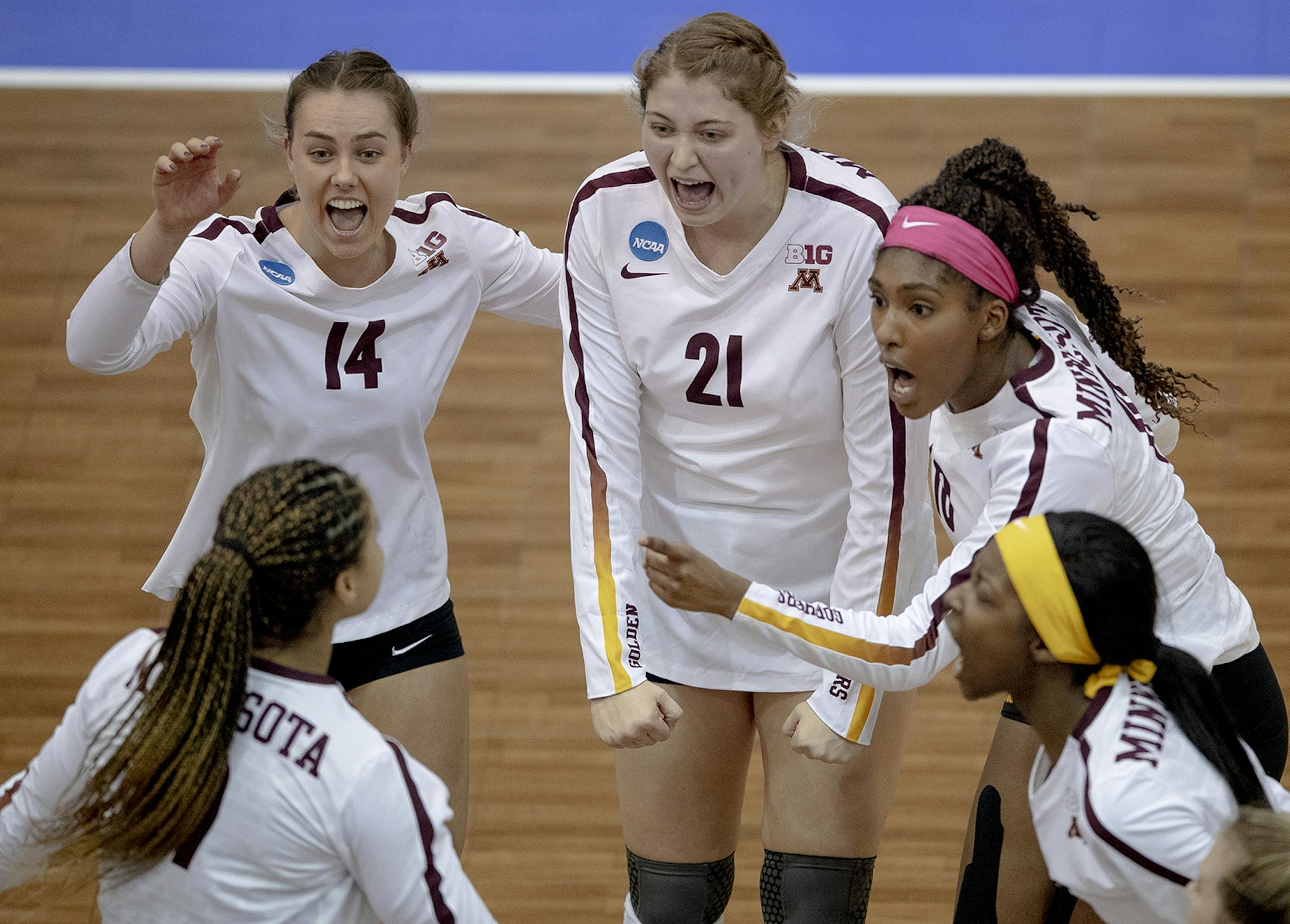 Minnesota setter Kylie Miller (14), middle blocker Regan Pittman (21) and opposite hitter Stephanie Samedy (10) celebrated a point during a match against Florida.