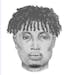 Rice County authorities have released a sketch of a suspect in a shooting at a house party near Northfield.